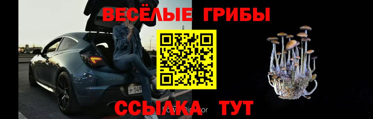 Псилоцибиновые грибы Magic Shrooms Чайковский